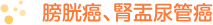 膀胱癌、腎盂尿管癌