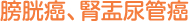 膀胱癌、腎盂尿管癌